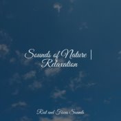 Sounds of Nature | Relaxation