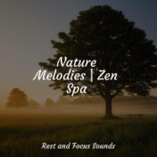 Nature Melodies | Zen Spa