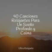 40 Canciones Relajantes Para Un Sueño Profundo y Calma