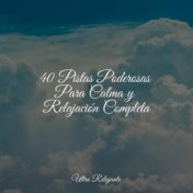 40 Pistas Poderosas Para Calma y Relajación Completa