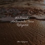 40 Sonidos Ambientales Para Relajarse