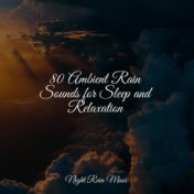 80 Ambient Rain Sounds for Sleep and Relaxation