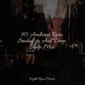 80 Ambient Rain Sounds to Aid Deep Sleep Mix