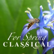 For Spring Classical