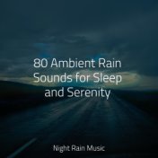 80 Ambient Rain Sounds for Sleep and Serenity