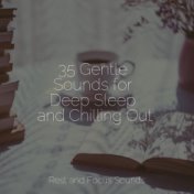 35 Gentle Sounds for Deep Sleep and Chilling Out