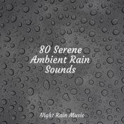 80 Serene Ambient Rain Sounds