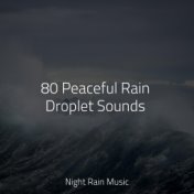 80 Peaceful Rain Droplet Sounds