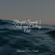 Blissful Sounds | Sleep and Chilling Out