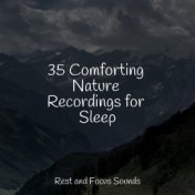 35 Comforting Nature Recordings for Sleep