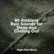80 Ambient Rain Sounds for Sleep and Chilling Out