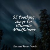 35 Soothing Songs for Ultimate Mindfulness