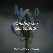 Calming Spa Zen Sounds