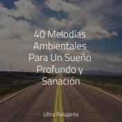 40 Melodías Ambientales Para Un Sueño Profundo y Sanación