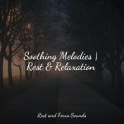 Soothing Melodies | Rest & Relaxation