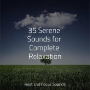 35 Serene Sounds for Complete Relaxation