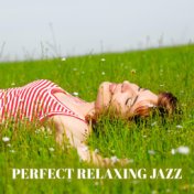 Perfect Relaxing Jazz (Background for Resting)