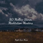 80 Mellow Storm Meditation Masters