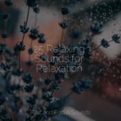 25 Relaxing Sounds for Relaxation