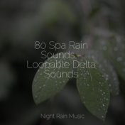 80 Spa Rain Sounds - Loopable Delta Sounds