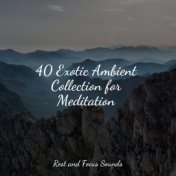 40 Exotic Ambient Collection for Meditation