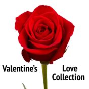 Valentine's Love Collection