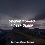 Serene Sounds | Deep Sleep