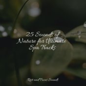 25 Sounds of Nature for Ultimate Spa Tracks