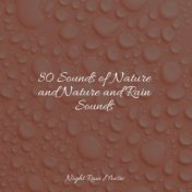 80 Sounds of Nature and Nature and Rain Sounds