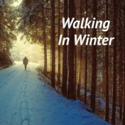 Walking In Winter