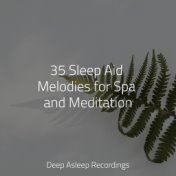 35 Sleep Aid Melodies for Spa and Meditation