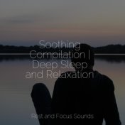Soothing Compilation | Deep Sleep and Relaxation