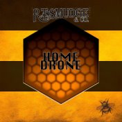 Home Drone