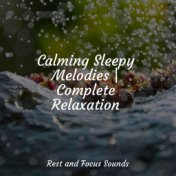 Calming Sleepy Melodies | Complete Relaxation