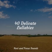 40 Delicate Lullabies