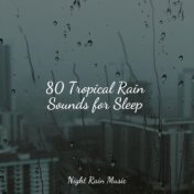 80 Tropical Rain Sounds for Sleep