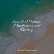 Sounds of Nature: Mindfulness and Healing