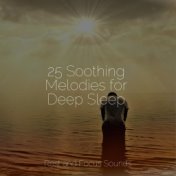 25 Soothing Melodies for Deep Sleep