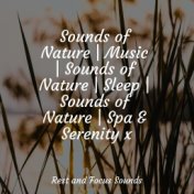 Sounds of Nature | Music | Sounds of Nature | Sleep | Sounds of Nature | Spa & Serenity x