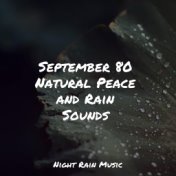 September 80 Natural Peace and Rain Sounds