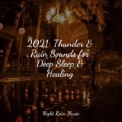 2021: Thunder & Rain Sounds for Deep Sleep & Healing