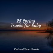 25 Spring Tracks for Baby