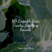 80 Loopable Rain Tracks: Soothing Sounds
