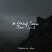 80 Ambient Spring Rain Sounds