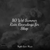 80 Wet Summer Rain Recordings for Sleep