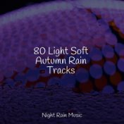 80 Light Soft Autumn Rain Tracks