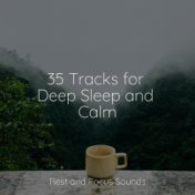 35 Tracks for Deep Sleep and Calm
