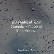 80 Ambient Rain Sounds - Natural Rain Sounds