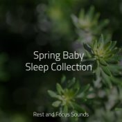 Spring Baby Sleep Collection