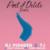 Post & Delete (Remix)